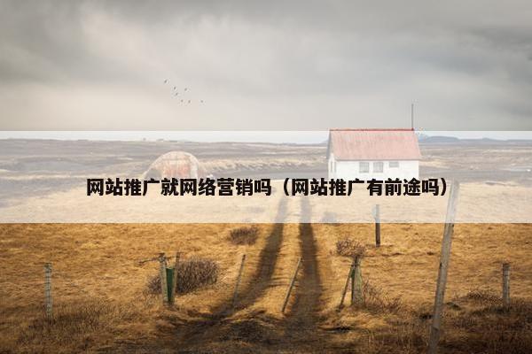 网站推广就网络营销吗（网站推广有前途吗）