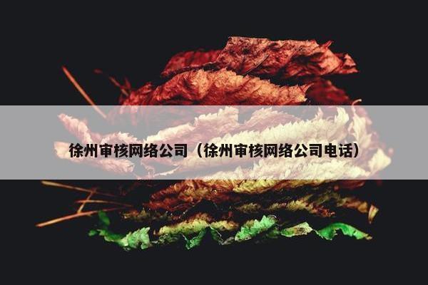 徐州审核网络公司（徐州审核网络公司电话）