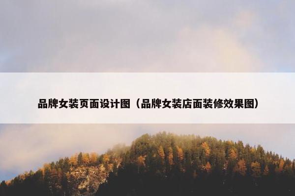 品牌女装页面设计图（品牌女装店面装修效果图）