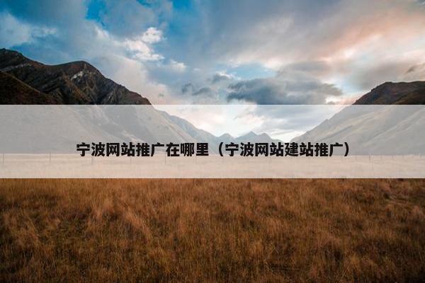 宁波网站推广在哪里（宁波网站建站推广）