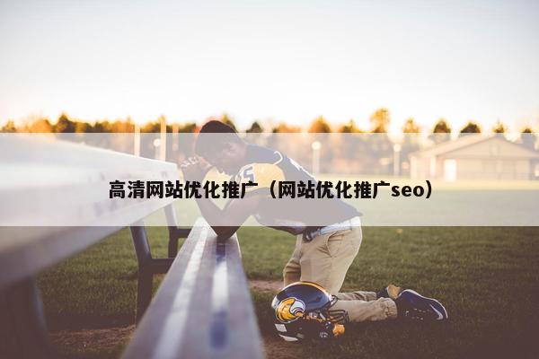 高清网站优化推广（网站优化推广seo）