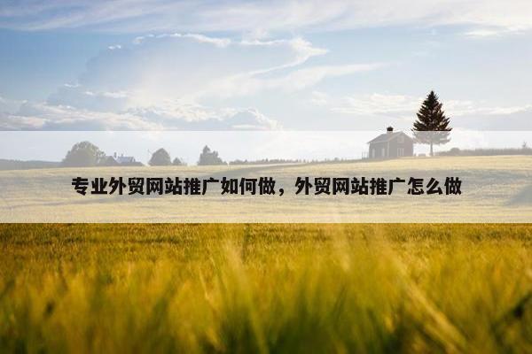 专业外贸网站推广如何做，外贸网站推广怎么做