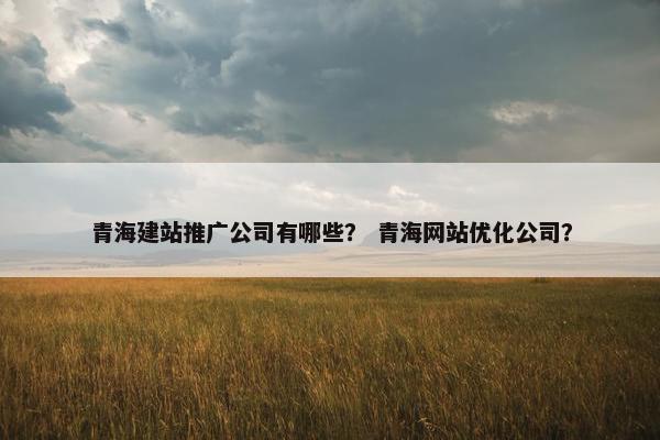 青海建站推广公司有哪些？ 青海网站优化公司？