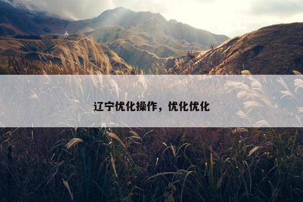 辽宁优化操作，优化优化