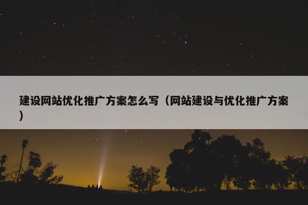 建设网站优化推广方案怎么写（网站建设与优化推广方案）