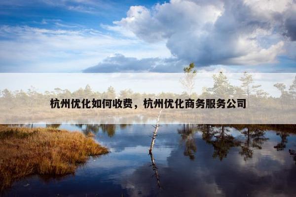 杭州优化如何收费，杭州优化商务服务公司