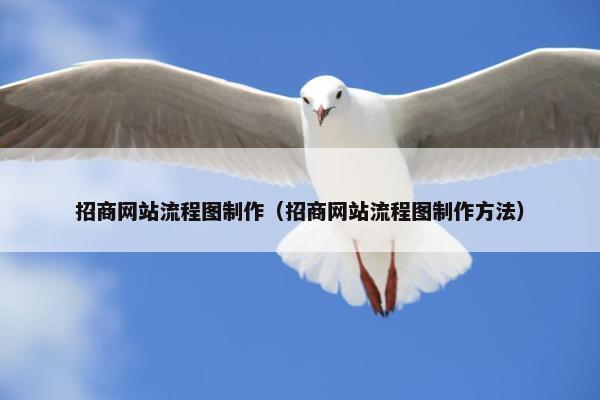 招商网站流程图制作（招商网站流程图制作方法）