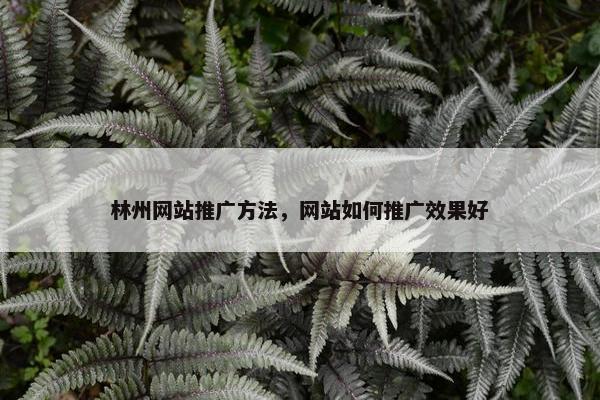 林州网站推广方法，网站如何推广效果好