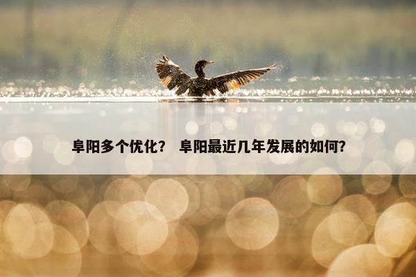 阜阳多个优化？ 阜阳最近几年发展的如何？