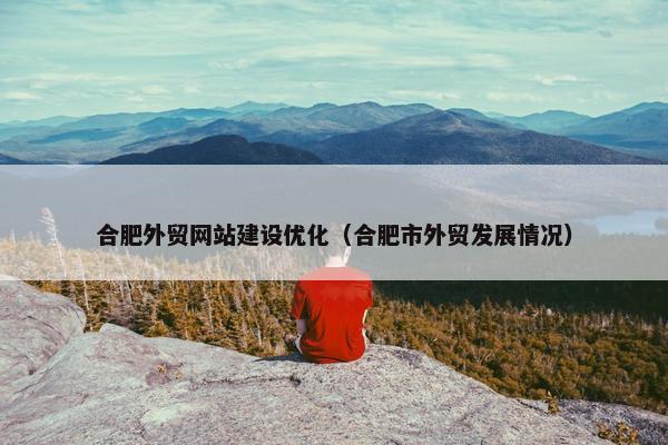 合肥外贸网站建设优化（合肥市外贸发展情况）