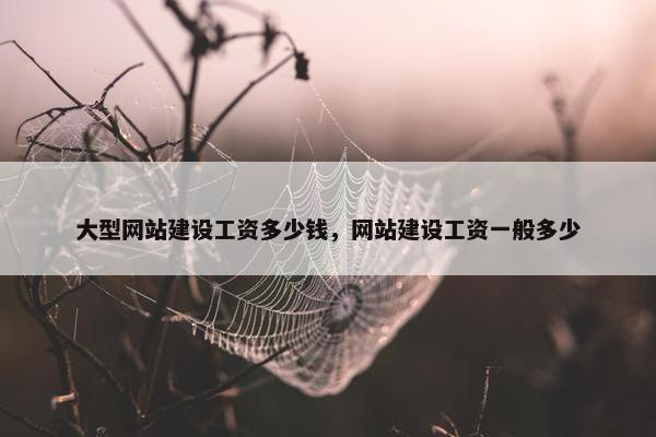 大型网站建设工资多少钱，网站建设工资一般多少