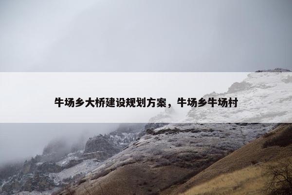 牛场乡大桥建设规划方案，牛场乡牛场村