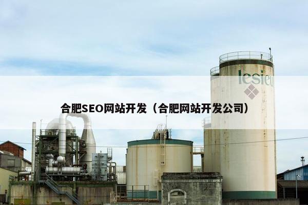 合肥SEO网站开发（合肥网站开发公司）