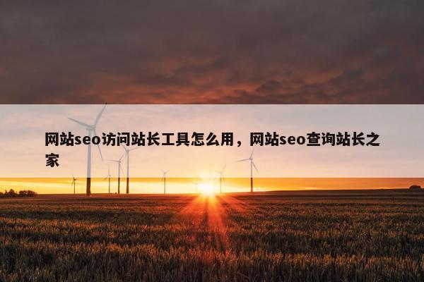 网站seo访问站长工具怎么用，网站seo查询站长之家