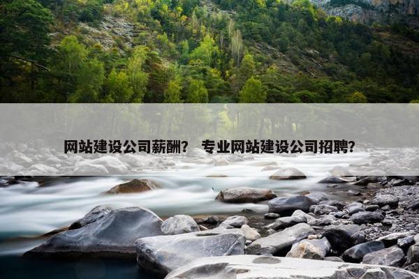 网站建设公司薪酬？ 专业网站建设公司招聘？
