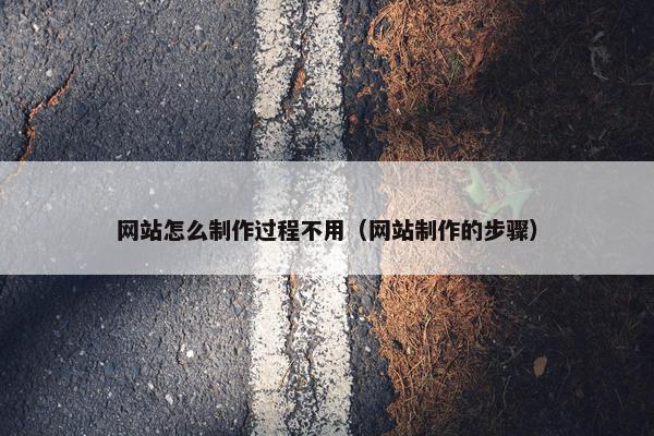 网站怎么制作过程不用（网站制作的步骤）