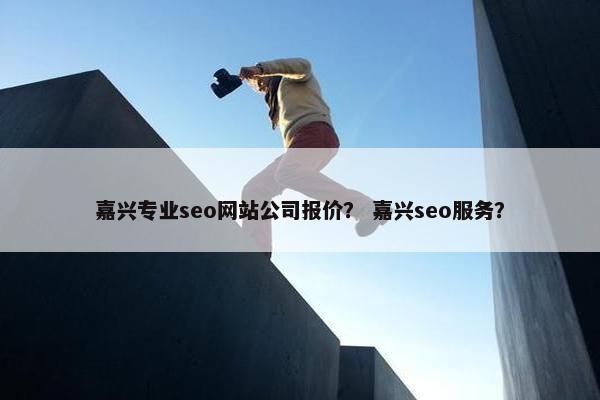 嘉兴专业seo网站公司报价？ 嘉兴seo服务？