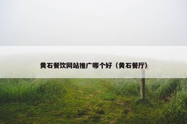 黄石餐饮网站推广哪个好（黄石餐厅）