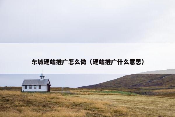 东城建站推广怎么做（建站推广什么意思）