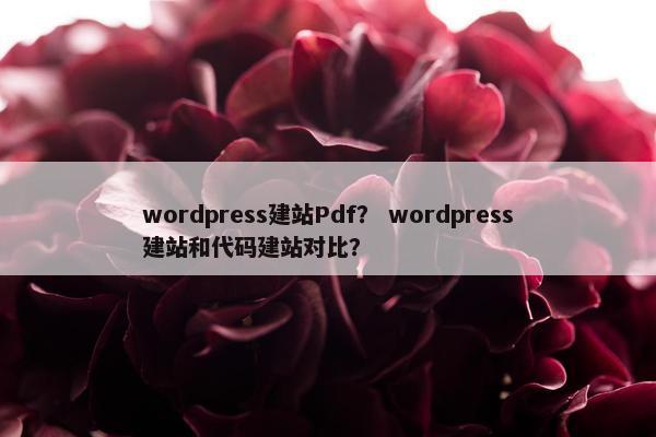 wordpress建站Pdf？ wordpress建站和代码建站对比？