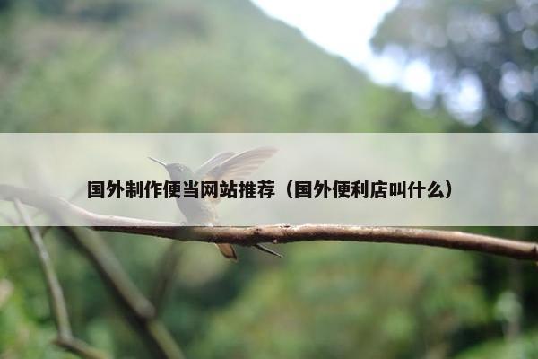 国外制作便当网站推荐（国外便利店叫什么）