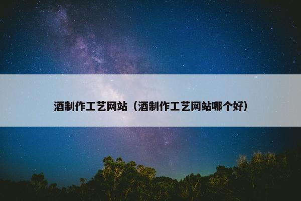 酒制作工艺网站（酒制作工艺网站哪个好）