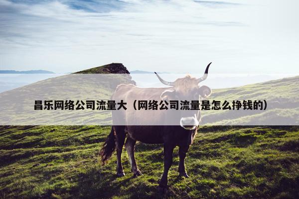 昌乐网络公司流量大（网络公司流量是怎么挣钱的）