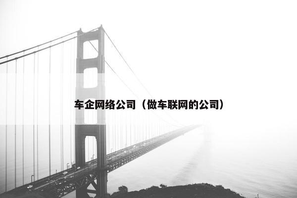 车企网络公司（做车联网的公司）
