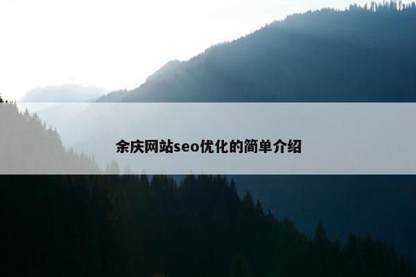 余庆网站seo优化的简单介绍