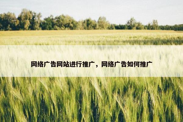 网络广告网站进行推广，网络广告如何推广