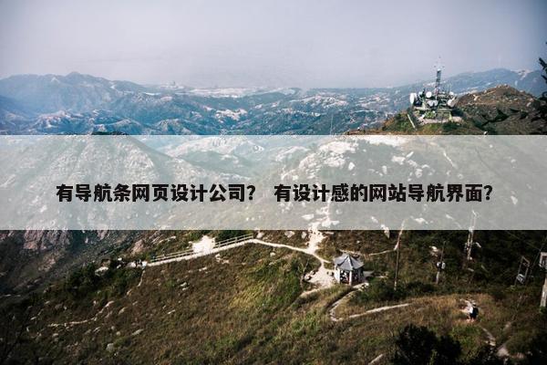 有导航条网页设计公司？ 有设计感的网站导航界面？