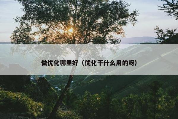 做优化哪里好（优化干什么用的呀）