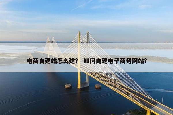 电商自建站怎么建？ 如何自建电子商务网站？