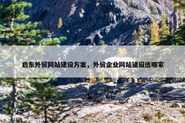 启东外贸网站建设方案，外贸企业网站建设选哪家