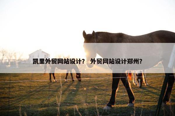 凯里外贸网站设计？ 外贸网站设计郑州？