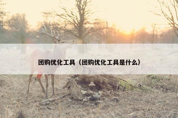 团购优化工具（团购优化工具是什么）