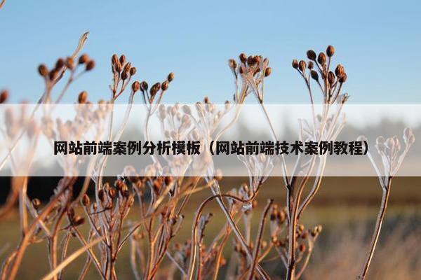 网站前端案例分析模板（网站前端技术案例教程）