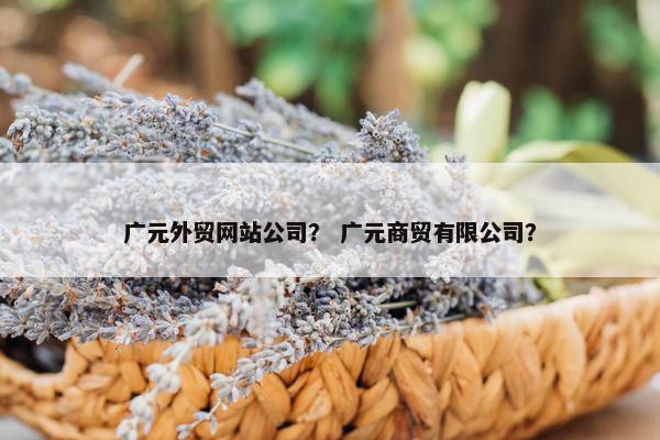 广元外贸网站公司？ 广元商贸有限公司？