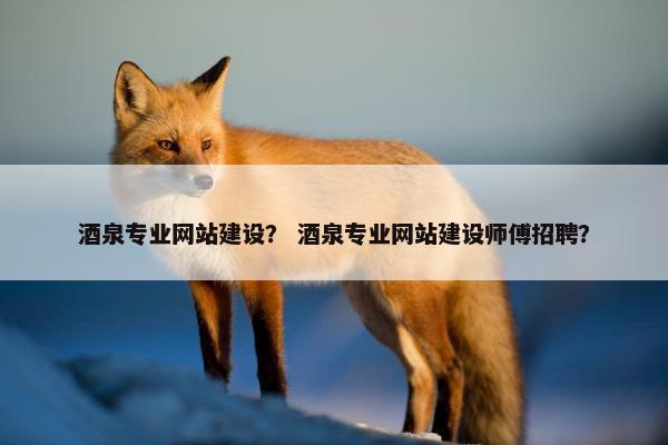 酒泉专业网站建设？ 酒泉专业网站建设师傅招聘？