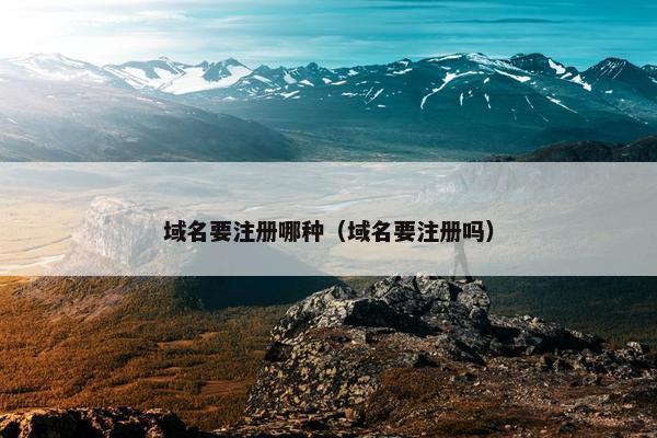 域名要注册哪种（域名要注册吗）