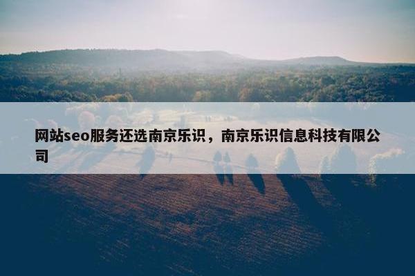 网站seo服务还选南京乐识，南京乐识信息科技有限公司