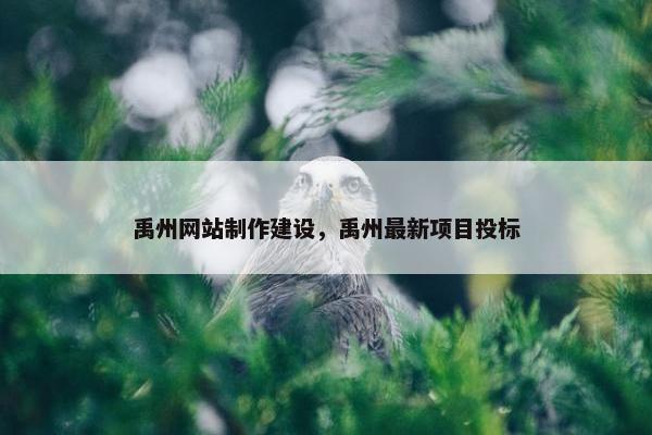 禹州网站制作建设，禹州最新项目投标