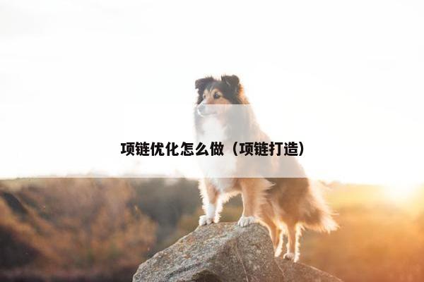 项链优化怎么做（项链打造）