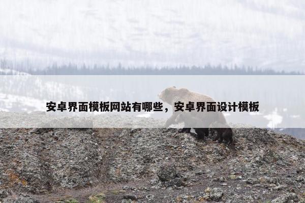安卓界面模板网站有哪些，安卓界面设计模板