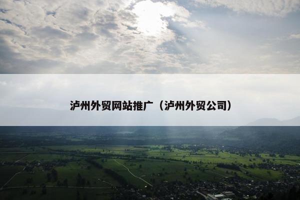 泸州外贸网站推广（泸州外贸公司）