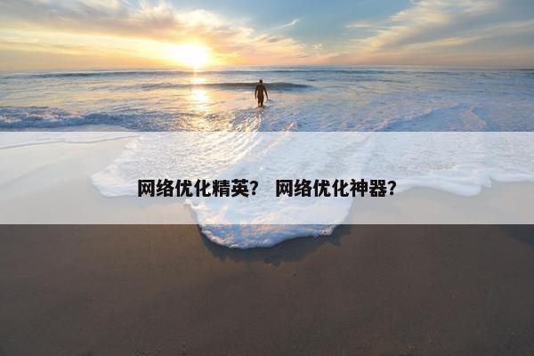 网络优化精英？ 网络优化神器？