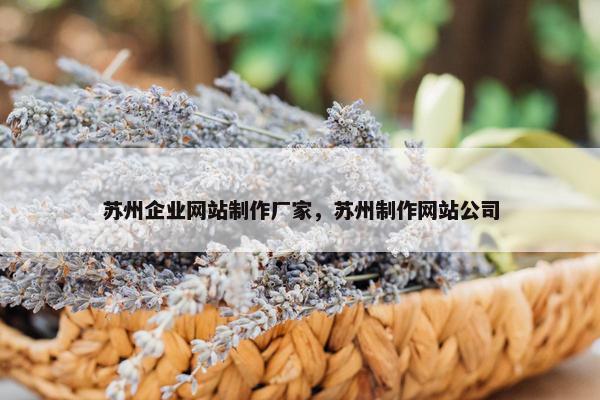 苏州企业网站制作厂家，苏州制作网站公司