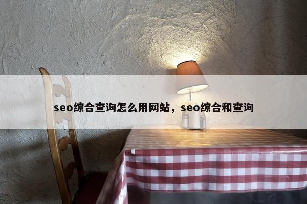 seo综合查询怎么用网站，seo综合和查询