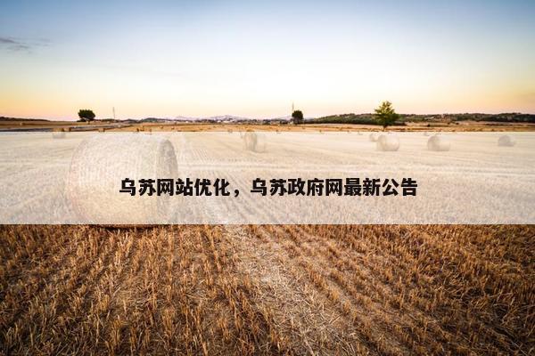 乌苏网站优化，乌苏政府网最新公告