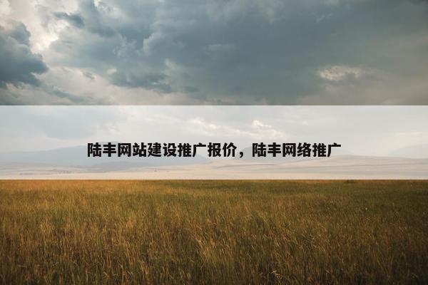 陆丰网站建设推广报价，陆丰网络推广